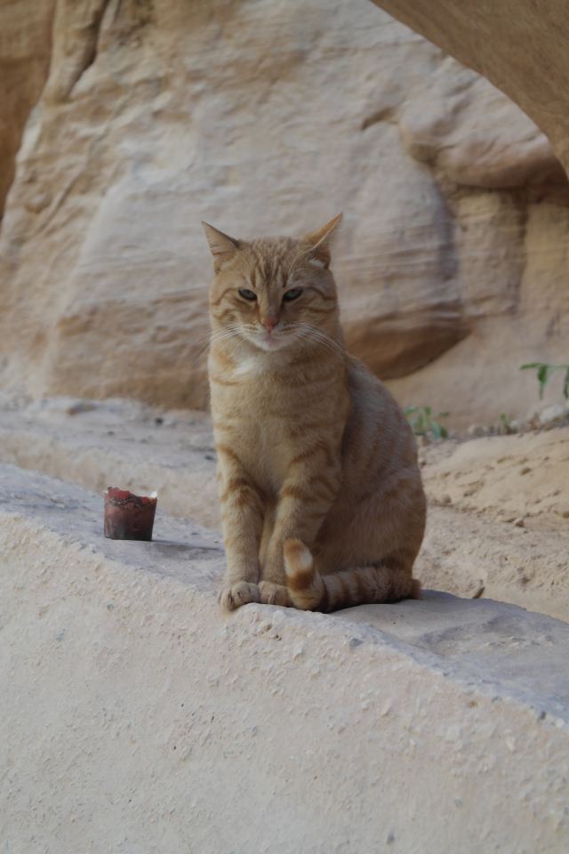 AL-Deir