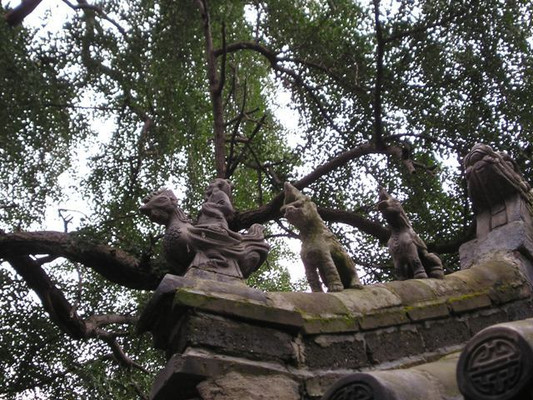 青岛之旅 2005-8