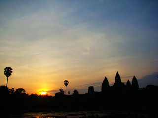 2010年柬埔寨五月盛放