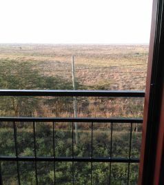 内罗毕游记图文-2013年9月 非洲观赏动物大迁徙 个人定制的豪华游 长篇