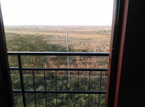 2013年9月 非洲观赏动物大迁徙 个人定制的豪华游 长篇