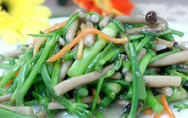 庐山野芹菜