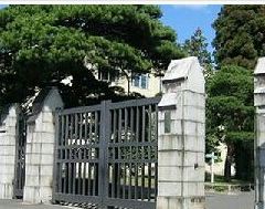 東北大學植物園旅遊攻略指南 東北大學植物園評價 東北大學植物園附近推薦 Trip Com