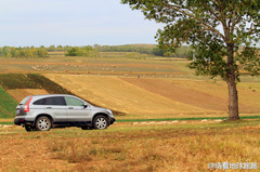 张家口游记图片] 2014张北草原天路行