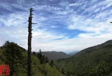 神农架旅游图片-神秘原始森林，神农架全景三日游