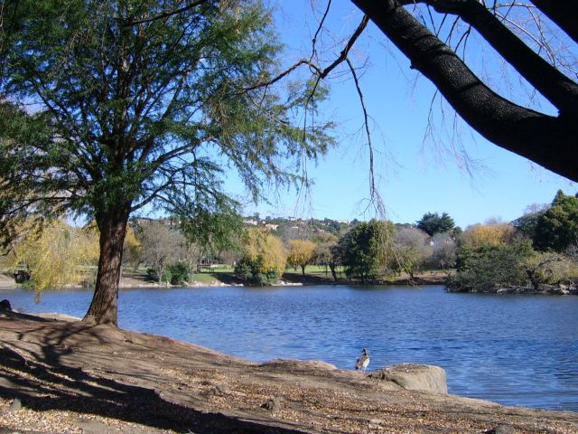 Zoo Lake