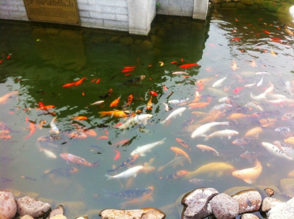 洞庭湖风景区