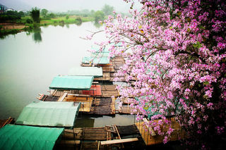 四月，我和阳朔有个约会