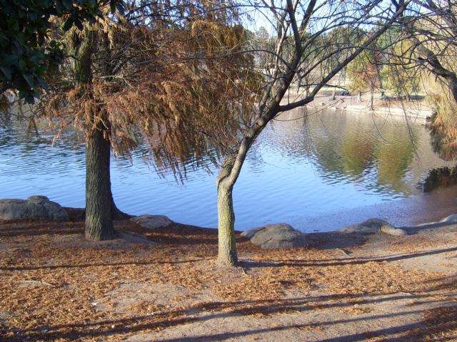 Zoo Lake