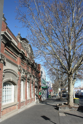 独行澳大利亚之十一墨尔本CITY