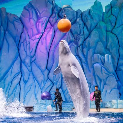 广州+肇庆+佛山+江门+珠海+长隆6日5晚私家团