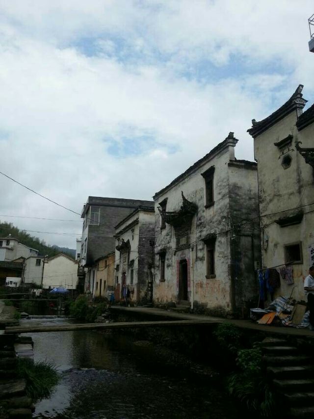 芹川村