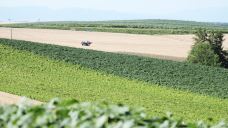 美瑛町-尊敬的会员