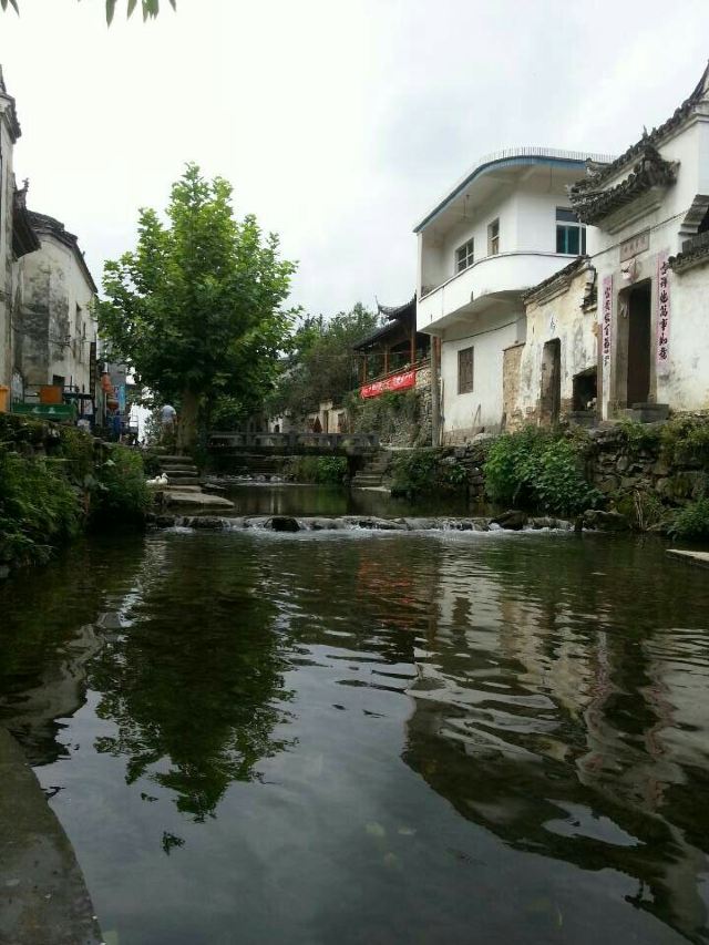 芹川村
