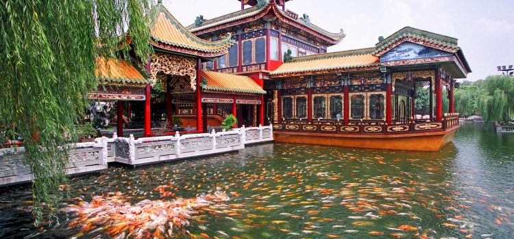 Baomo Garden Tickets Deals Reviews Family Holidays - 