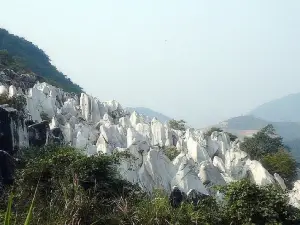 Jade Forest Scenic Area