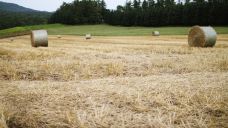 美瑛町-尊敬的会员