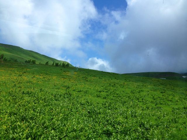 West Slope of Changbai Mountain Scenic Area