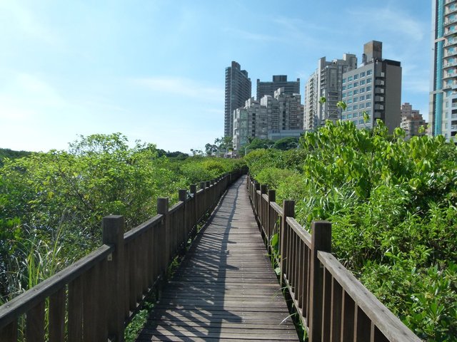 淡水河红树林自然保留区