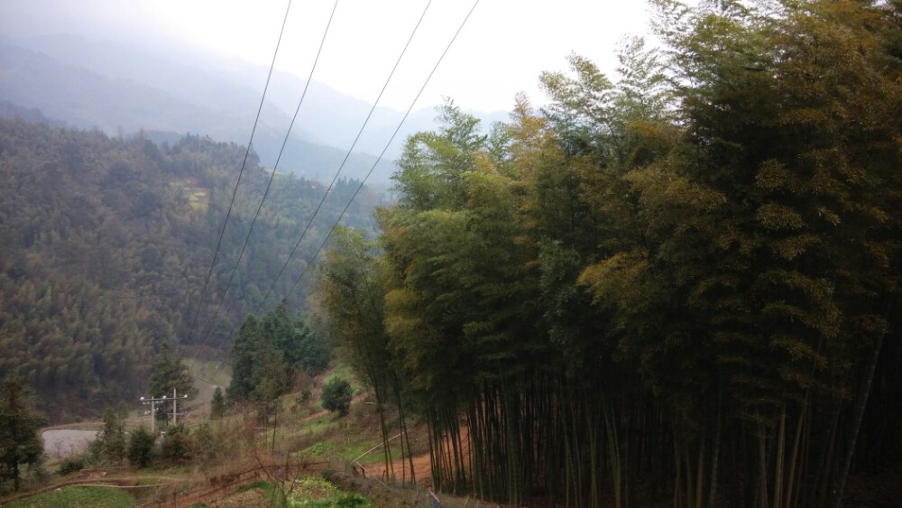 太平山