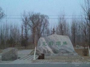 北野烟林