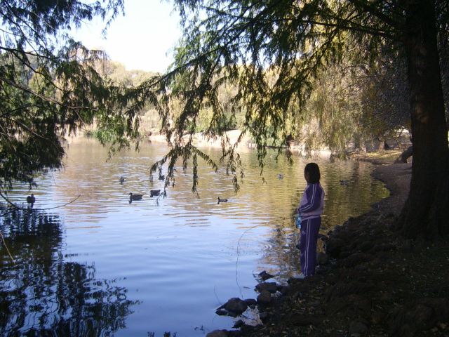 Zoo Lake