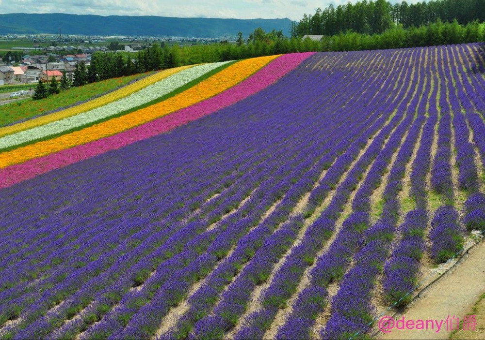 恋恋北海道花田美食全纪录 北海道游记攻略 携程攻略 恋恋北海道花田美食全纪录 北海道游记攻略 携程攻略