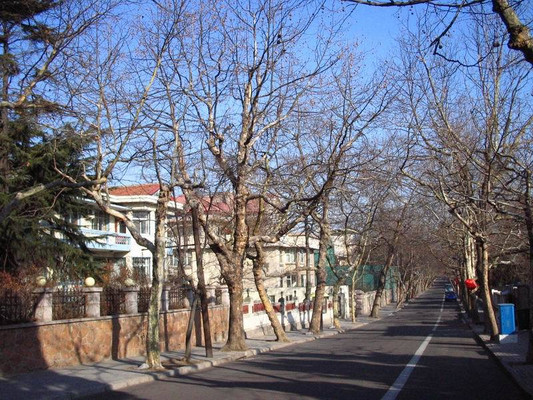 春游青岛