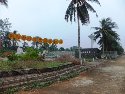 海南尖峰岭热带雨林、东寨港红树林自助游。