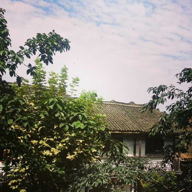 핑러고진