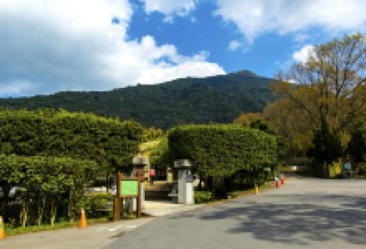 阳明书屋景点图片
