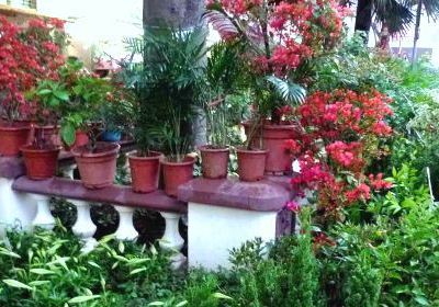 香港花墟道购物攻略 花墟道物中心 地址 电话 营业时间 携程攻略 香港花墟道购物攻略 花墟道物中心 地址 电话 营业时间 携程攻略
