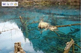 5月一家四口九寨黄龙峨嵋山青城山11日游