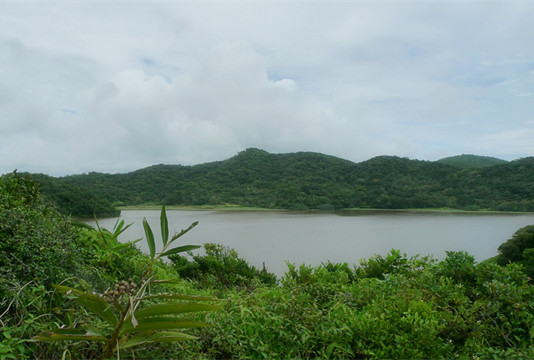 南仁湖