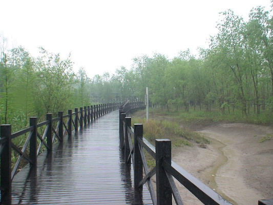 崇明二日游感受和心得