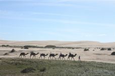 安娜湾-YoYo_3L3V2R9R