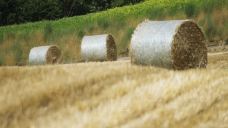 美瑛町-尊敬的会员