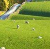 Cambridge Farmstay