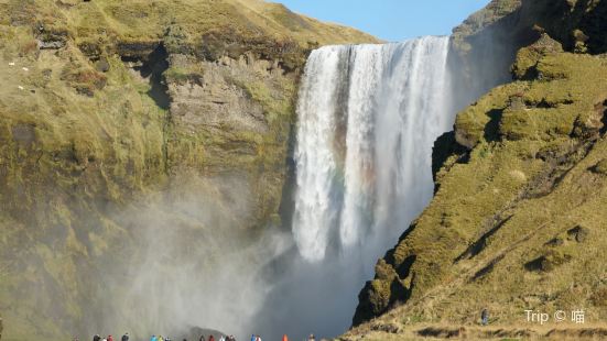 Skogarfoss