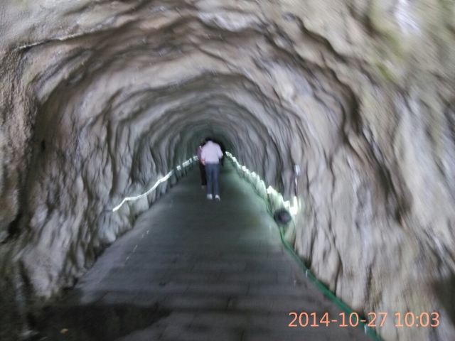 금뇨산