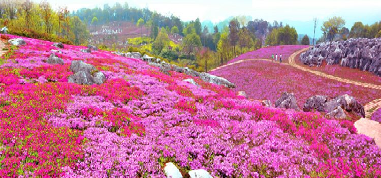 Wang valley resort malaysia