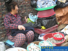 釜山游记图片] 我的2007韩国之旅之三：釜山走马观花