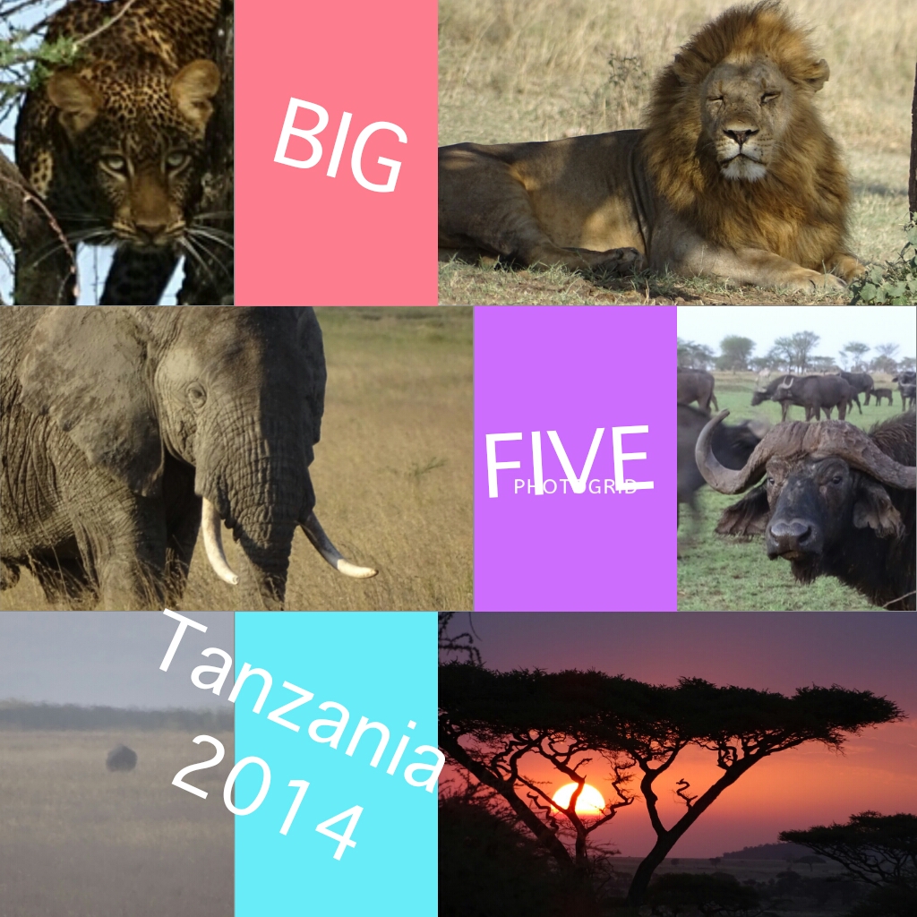 Tanzania Safari Experience 每次外遊最讓人頭痛是乘搭長途機，這次坦桑尼亞獵