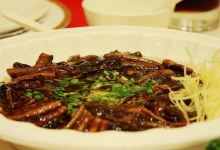 苏州美食图片-响油鳝糊