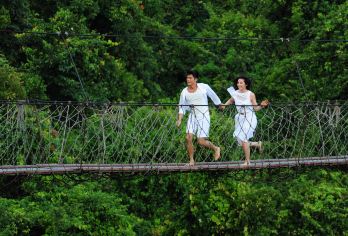 亚龙湾天堂森林公园一日游【可选小团丨可选玻璃栈道丨午餐】【天然热带雨林氧吧+纯玩一日游，《非诚2》过江龙索桥，网红全海景玻璃栈道。】