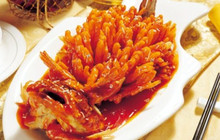 松鼠桂鱼