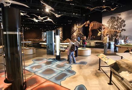 Haus Der Natur Salzburg Attractions 门子乀 Salzburg Travel