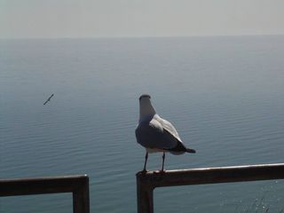 沿着北丝绸之路到敦煌1