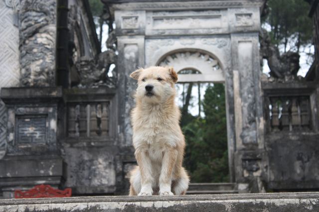 Thành Phố Huế