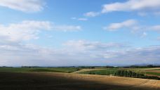 美瑛町-尊敬的会员